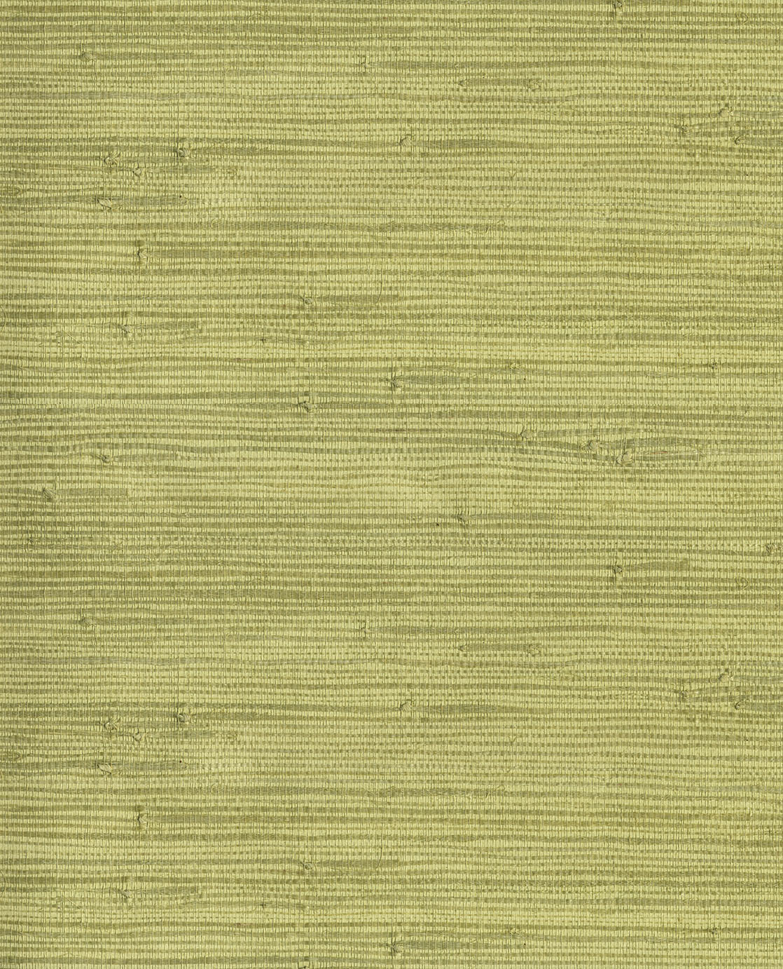 NATURAL WALLCOVERINGS III Wallpaper Pattern No E303502