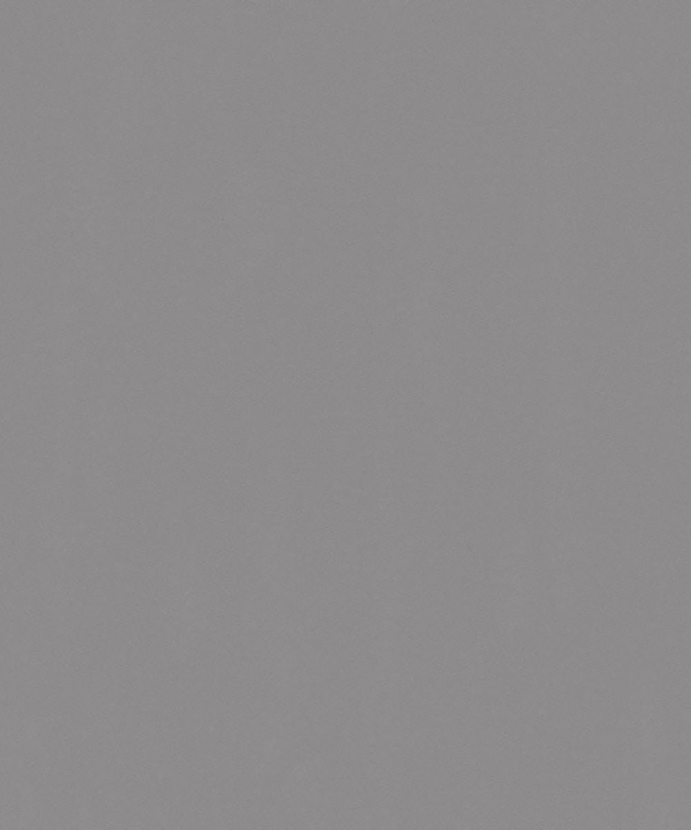 PINT WALLS Wallpaper Pattern No 3493-16