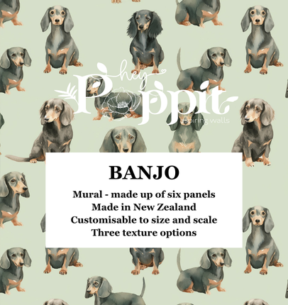 HEY POPPIT Wallpaper Pattern No - BANJO (64011, 64012, 64013)