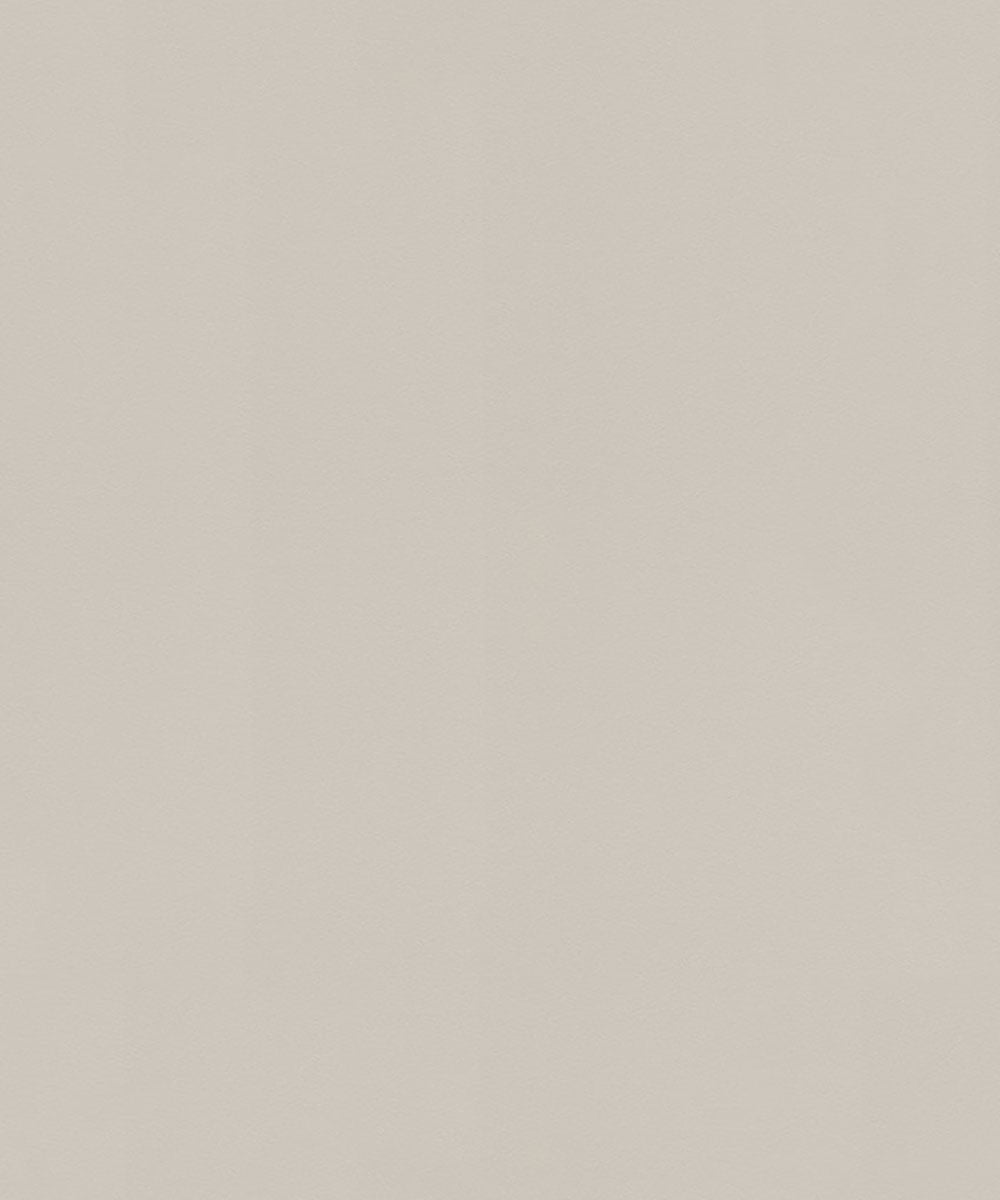 SALSA Wallpaper Pattern No 806823