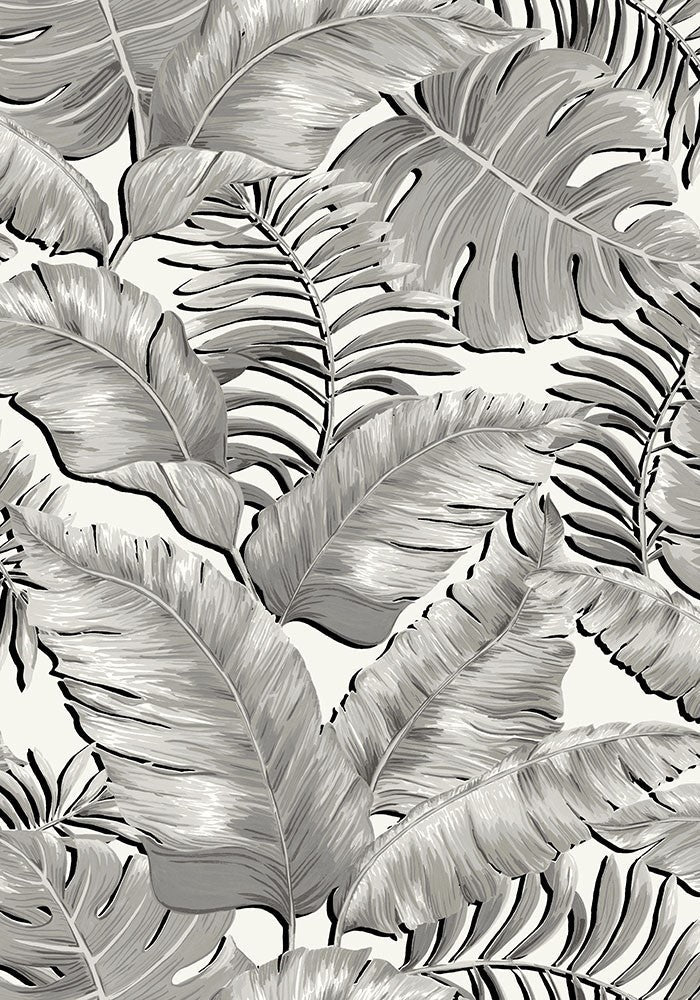 BRAND MCKENZIE Wallpaper Pattern No BMTD001/05A - Banana Leaves Max