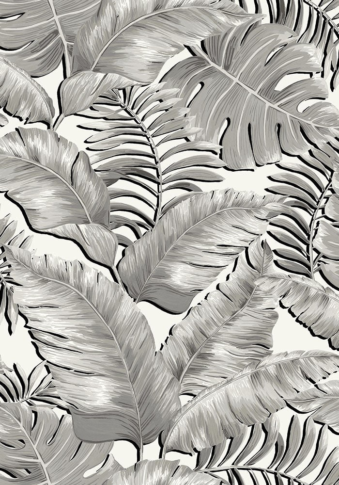 BRAND MCKENZIE Wallpaper Pattern No BMTD001/06A - Banana Leaves Standard