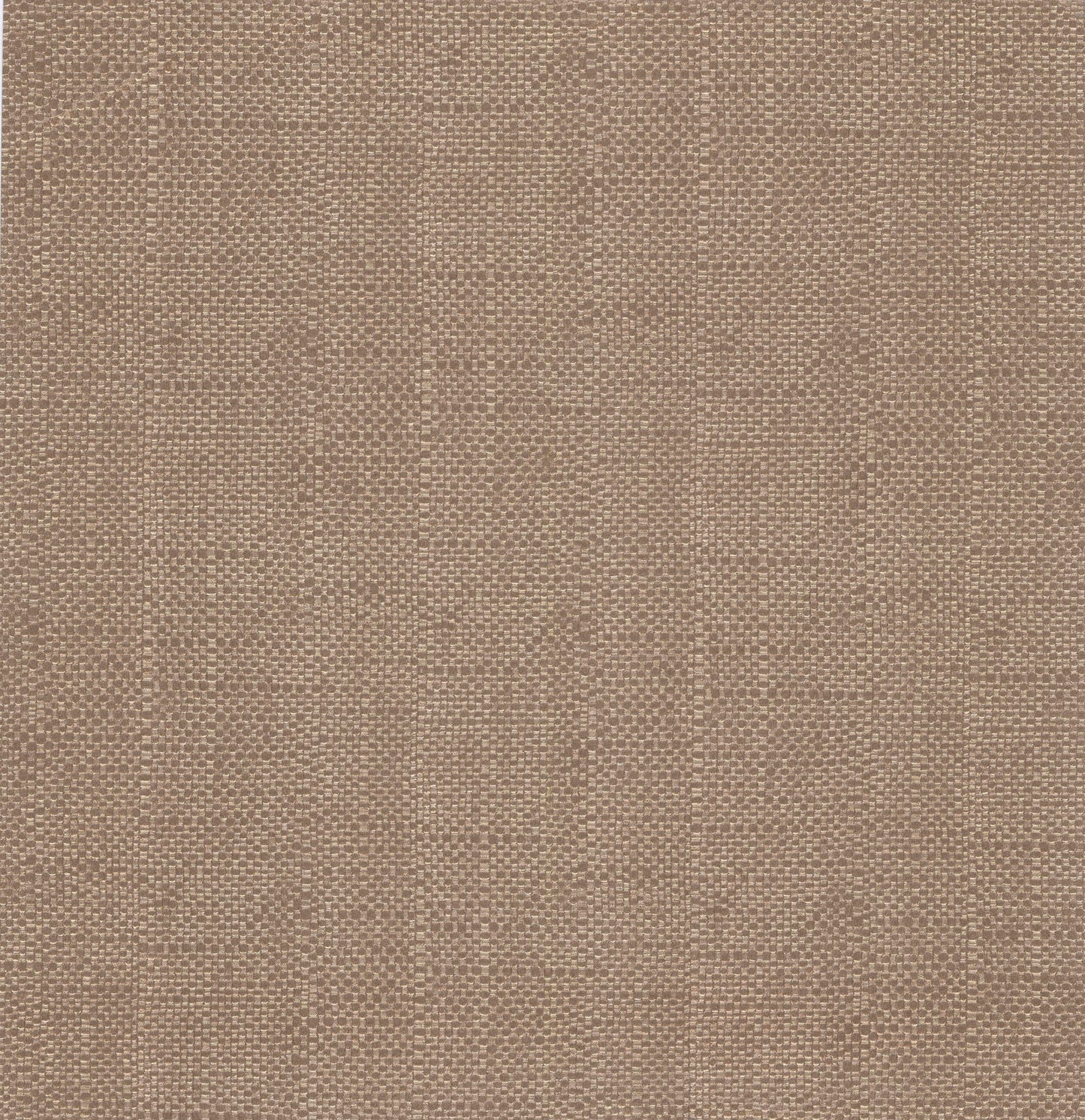CAMELLIA Wallpaper Pattern No 1703-115-02