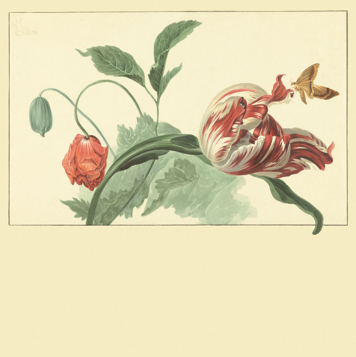 MASTERPIECE Wallpaper Pattern No E358118