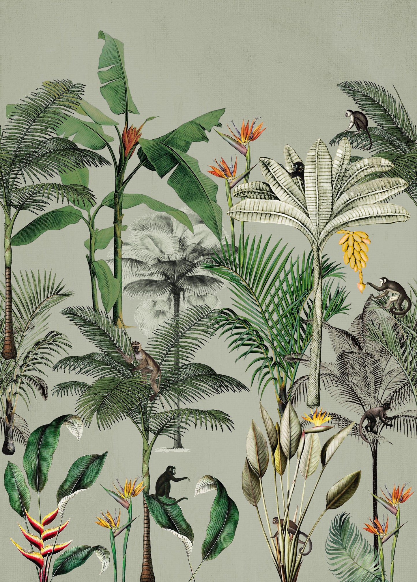 CLUB BOTANIQUE Wallpaper Pattern No 539196