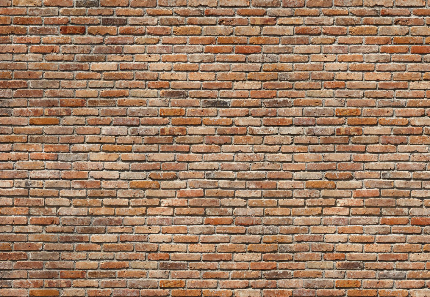 KOMAR VOLUME 15 Wallpaper Pattern No 8-741