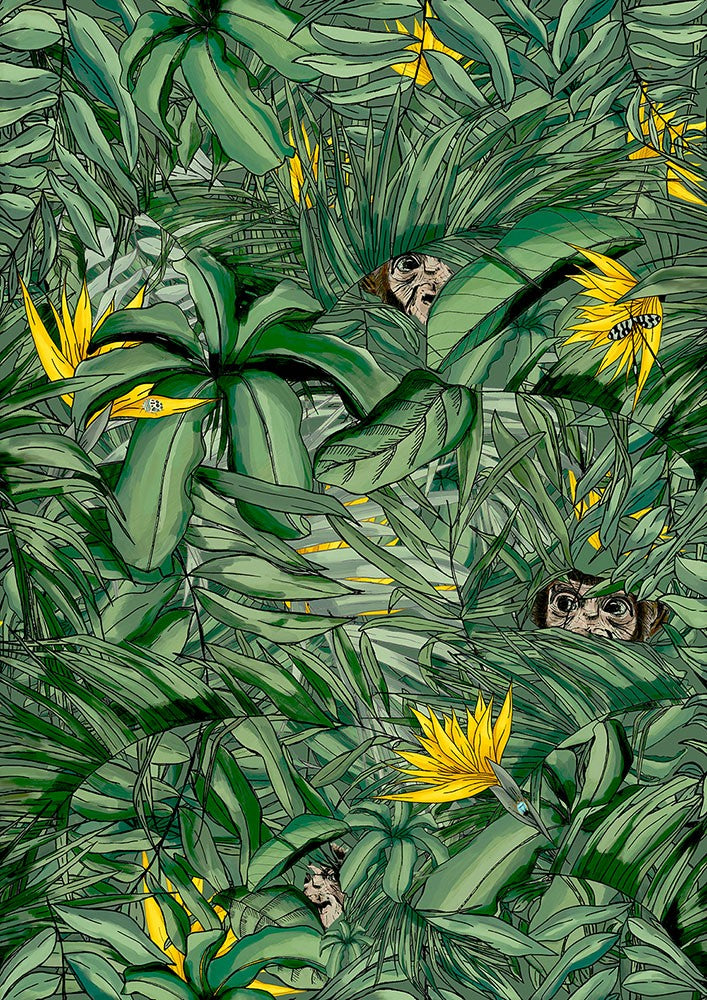 BRAND MCKENZIE Wallpaper Pattern No BMTD001/09B - Monkey Forest