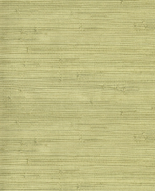 NATURAL WALLCOVERINGS III Wallpaper Pattern No E303502