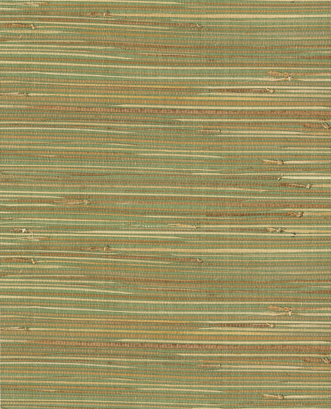 NATURAL WALLCOVERINGS III Wallpaper Pattern No E303508
