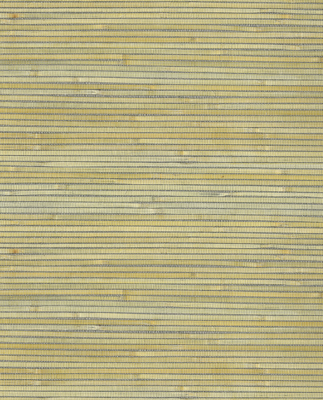 NATURAL WALLCOVERINGS III Wallpaper Pattern No E303519