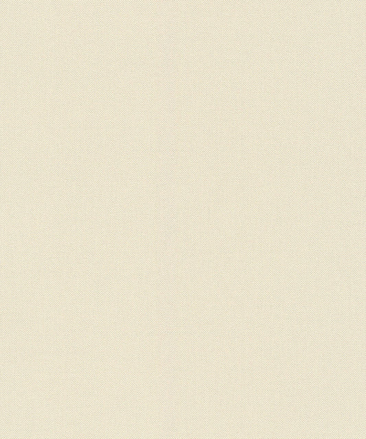 WALL TEXTURES V Wallpaper Pattern No 424058