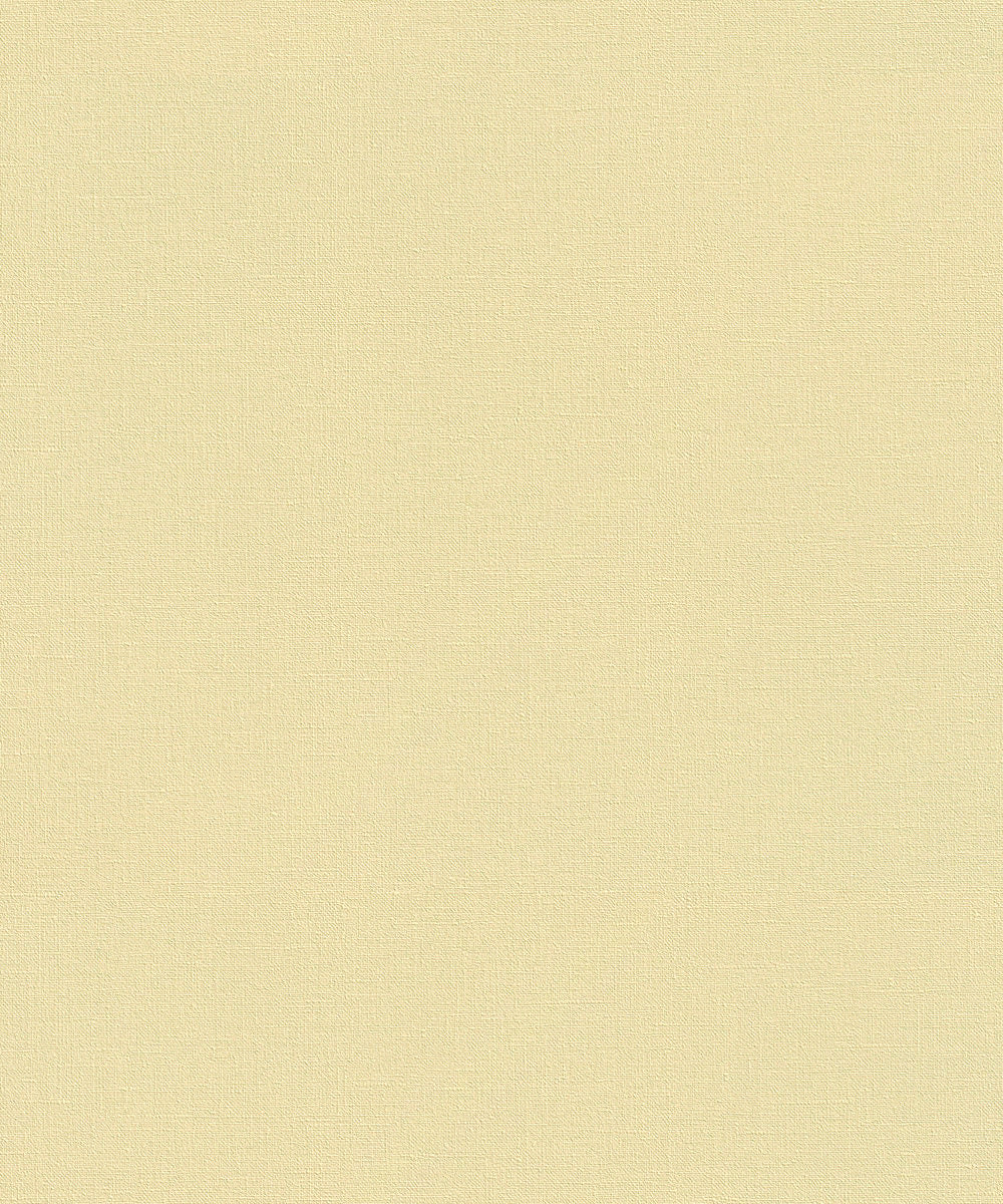 WALL TEXTURES V Wallpaper Pattern No 447521