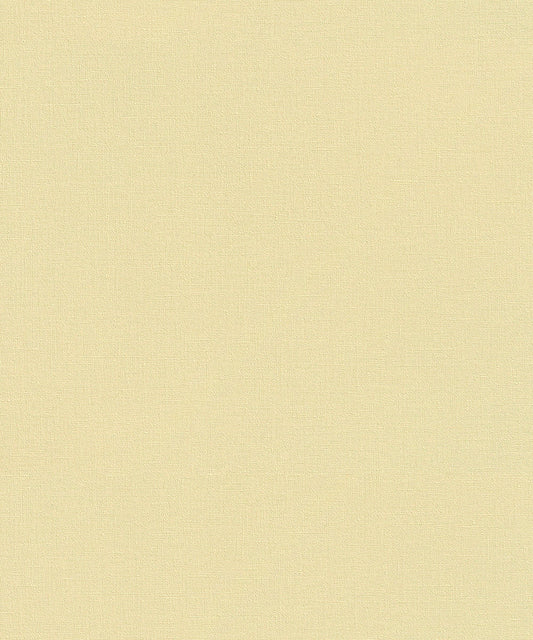 WALL TEXTURES V Wallpaper Pattern No 447521