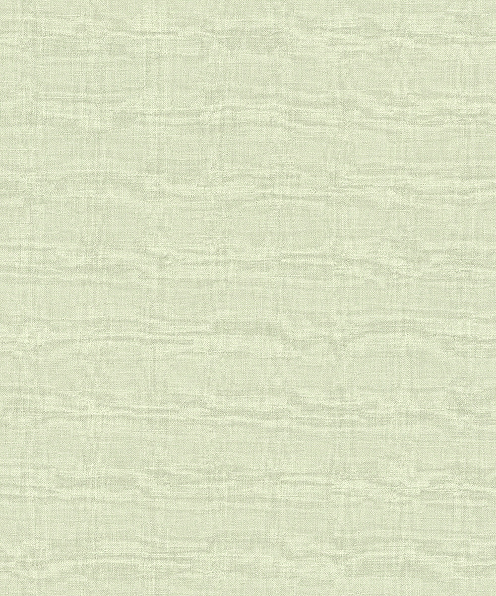 WALL TEXTURES V Wallpaper Pattern No 447538