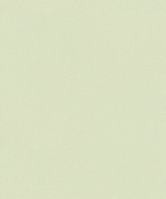 WALL TEXTURES V Wallpaper Pattern No 447538