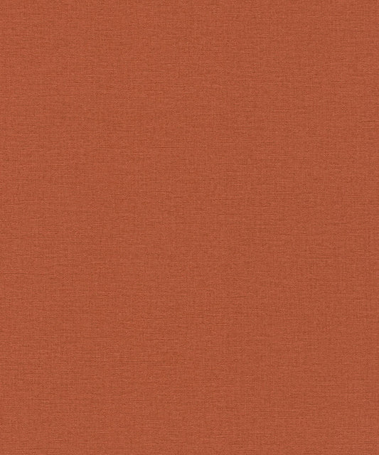 SALSA Wallpaper Pattern No 449051