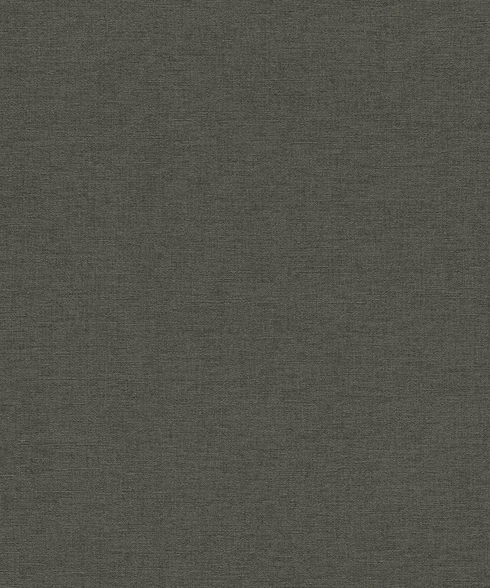 SALSA Wallpaper Pattern No 449853