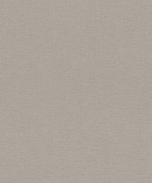 SALSA Wallpaper Pattern No 452037