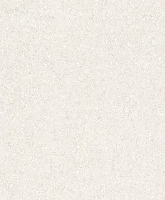 WALL TEXTURES VI Wallpaper Pattern No 489965