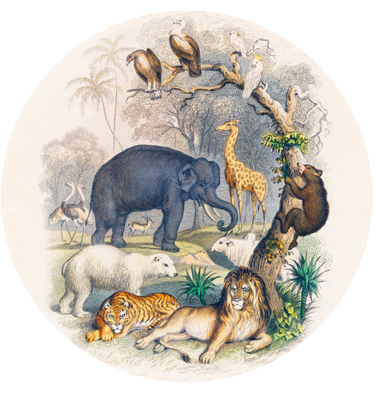 CIRQUE ACT ONE Pattern No A HISTORY OF THE EARTH  - (63000)