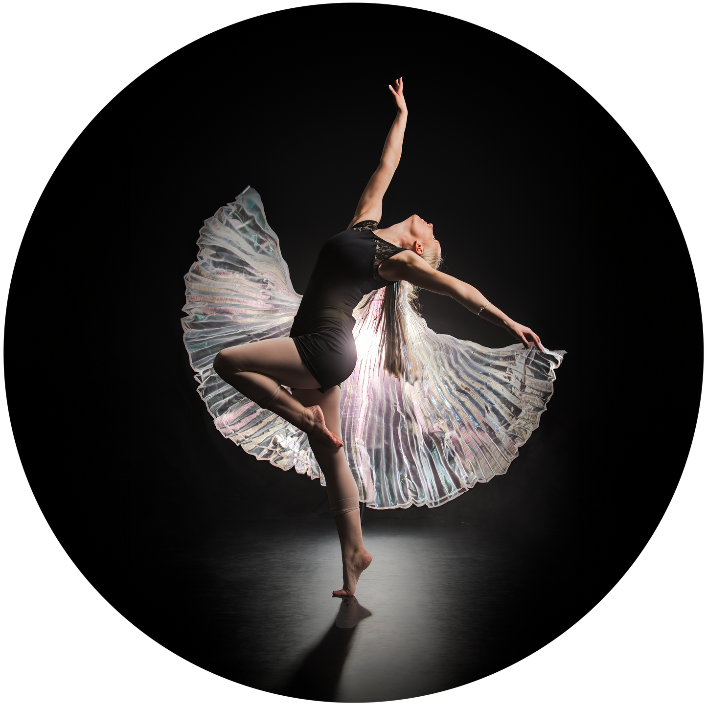 CIRQUE ACT ONE Pattern No FREE SPIRIT - (63054)