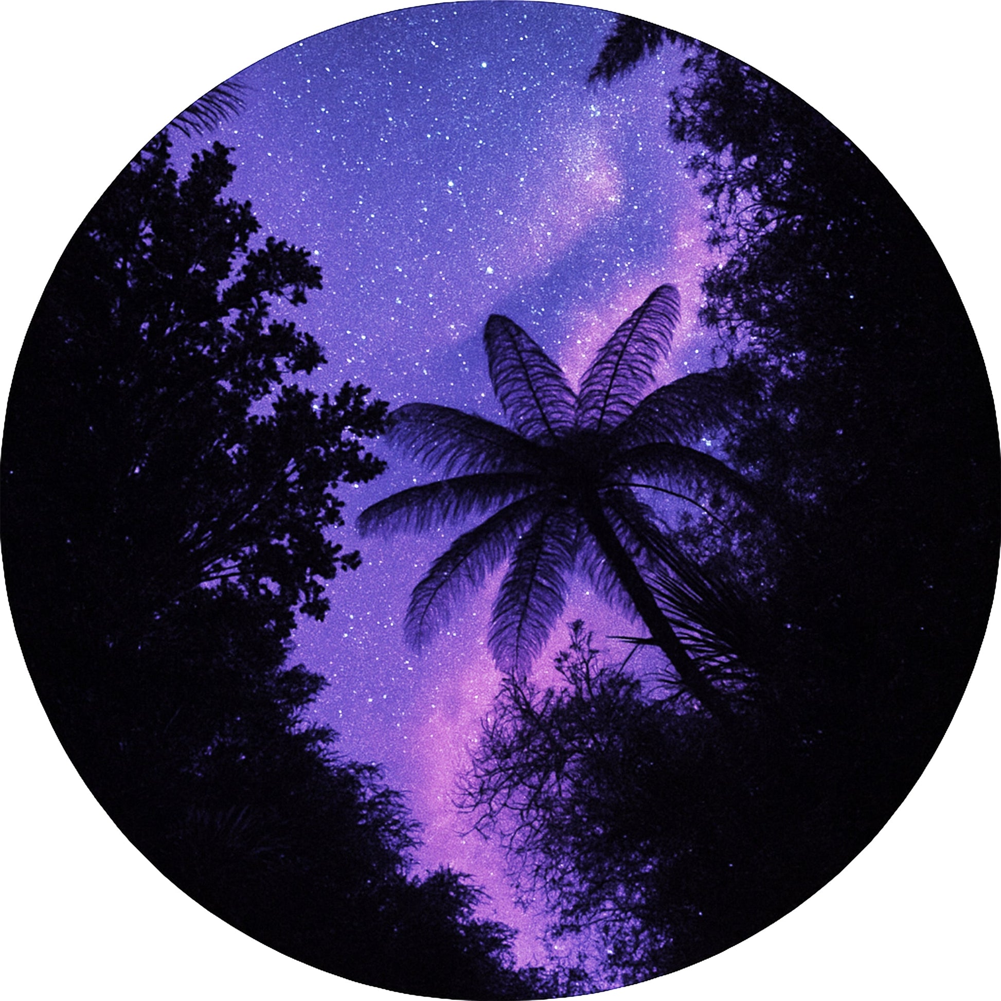 CIRQUE Act Two Pattern No MATARIKI PURPLE circle mural wallpaper
