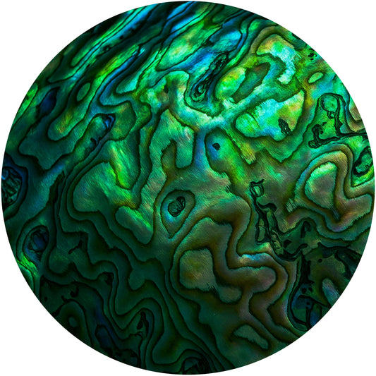 CIRQUE Act Two Pattern No PAUA GREEN circle mural wallpaper