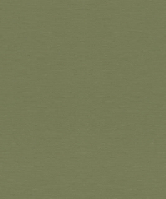 TROPICAL HOUSE Wallpaper Pattern No 687538