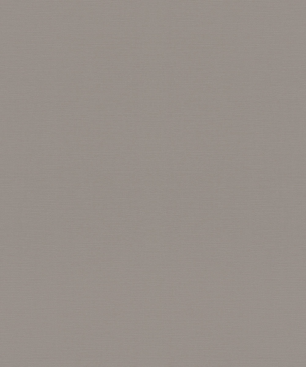 TROPICAL HOUSE Wallpaper Pattern No 687545