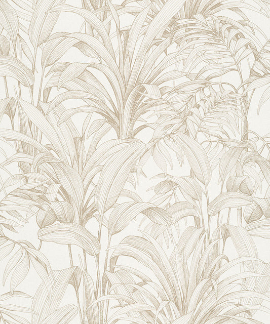 ASPERIA Wallpaper Pattern No A51402