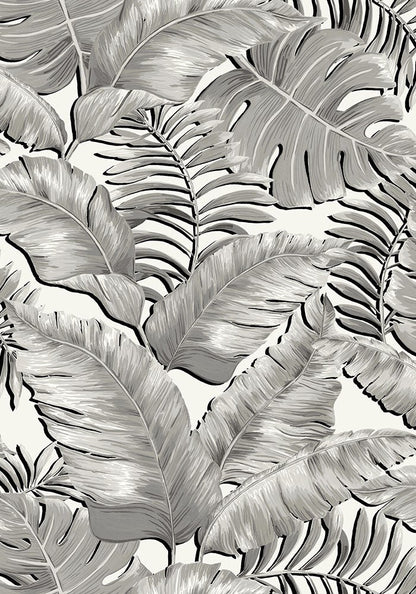 BRAND MCKENZIE Wallpaper Pattern No BMTD001/05A - Banana Leaves Max