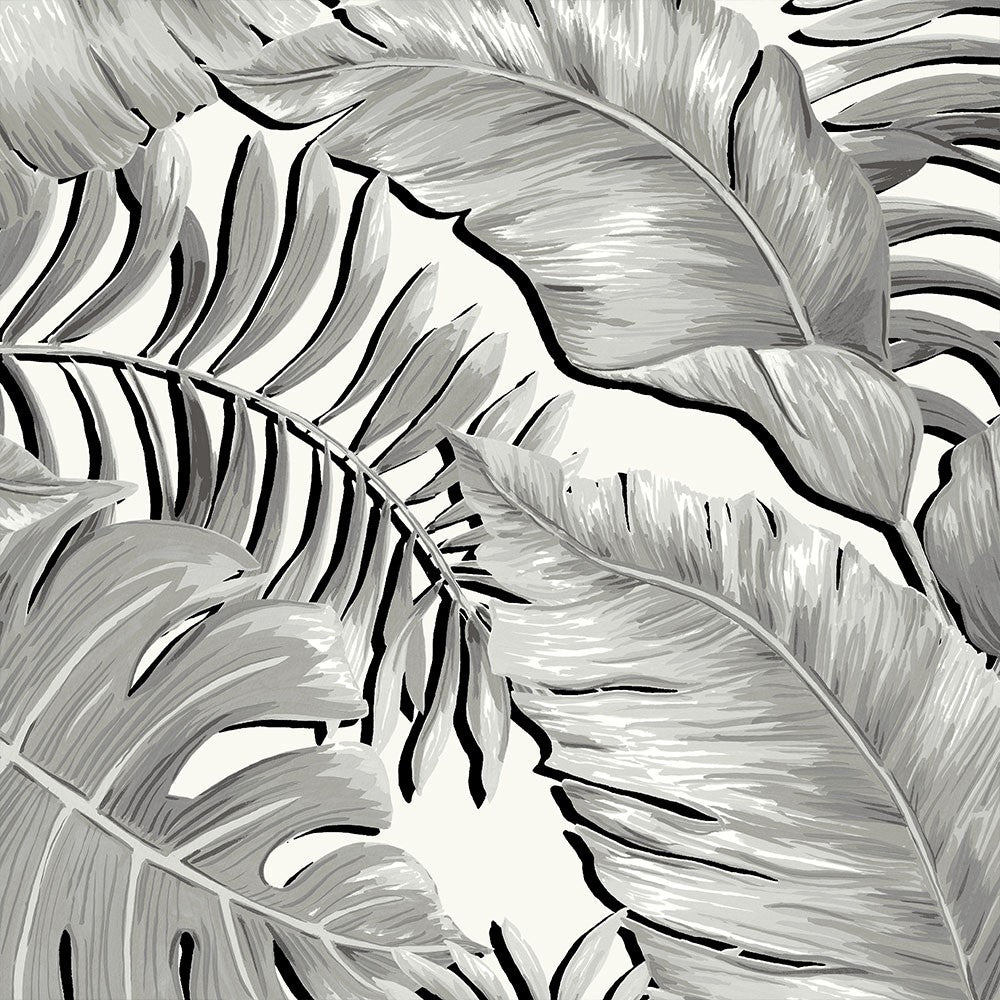BRAND MCKENZIE Wallpaper Pattern No BMTD001/05A - Banana Leaves Max