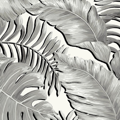 BRAND MCKENZIE Wallpaper Pattern No BMTD001/05A - Banana Leaves Max