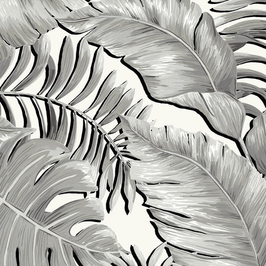 BRAND MCKENZIE Wallpaper Pattern No BMTD001/05A - Banana Leaves Max