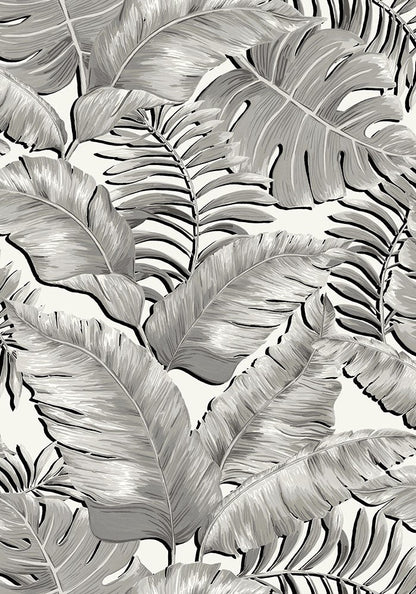 BRAND MCKENZIE Wallpaper Pattern No BMTD001/06A - Banana Leaves Standard