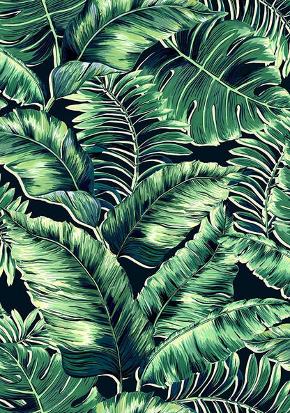 BRAND MCKENZIE Wallpaper Pattern No BMTD001/06C - Banana Leaves Standard