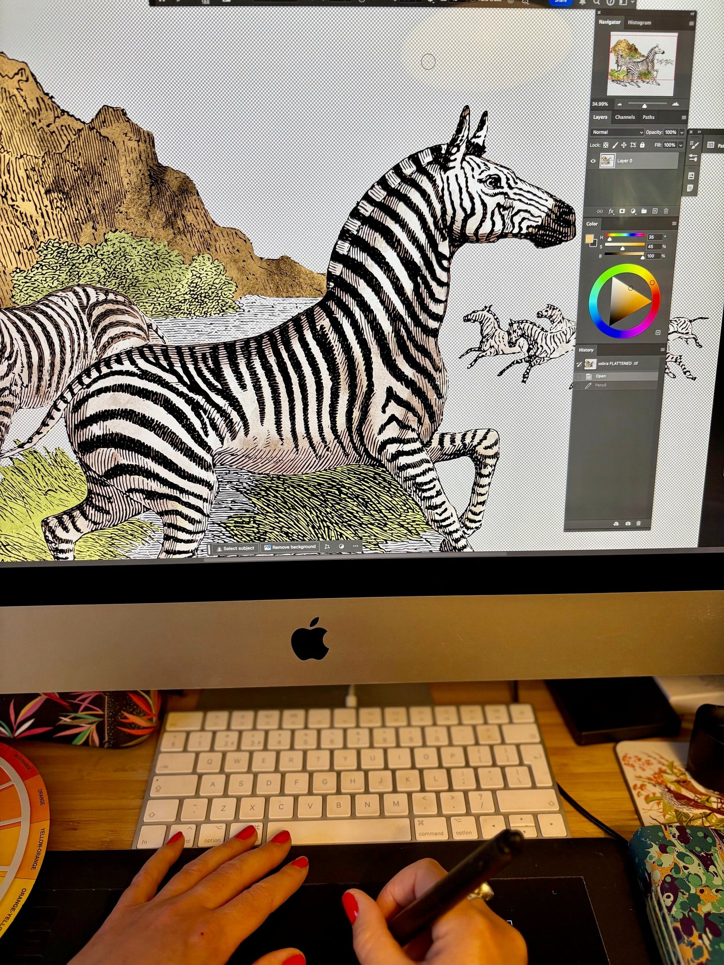 BRAND MCKENZIE Wallpaper Pattern No BMGI006/01A - Club Safari