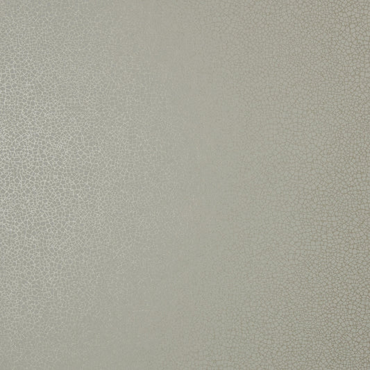 ELODIE Wallpaper Pattern No 1907-141-04