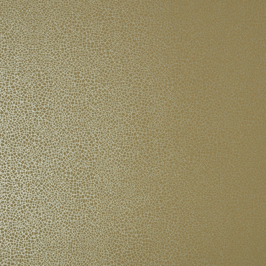 ELODIE Wallpaper Pattern No 1907-141-07