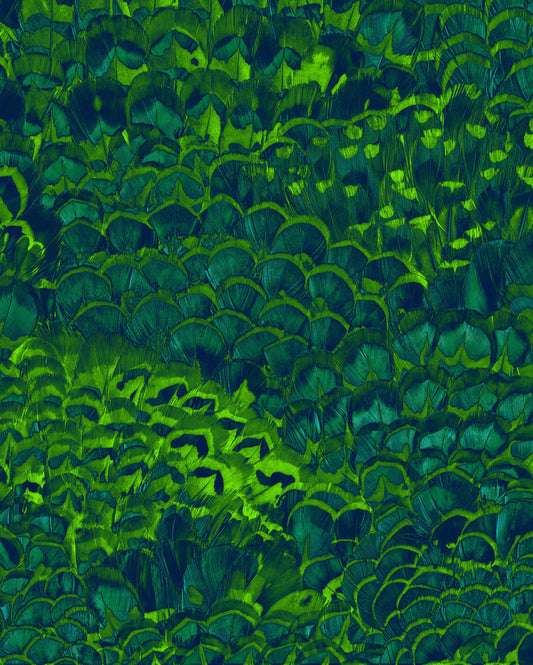 KOMAR PURE Wallpaper Pattern No P019-VD2