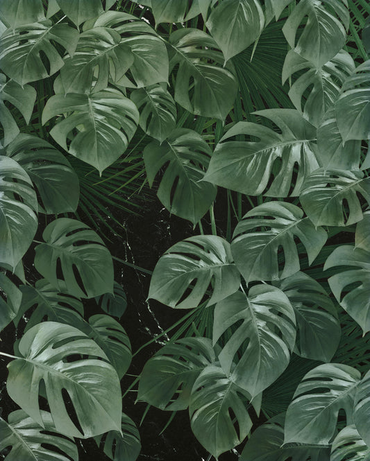 KOMAR PURE Wallpaper Pattern No P035-VD2