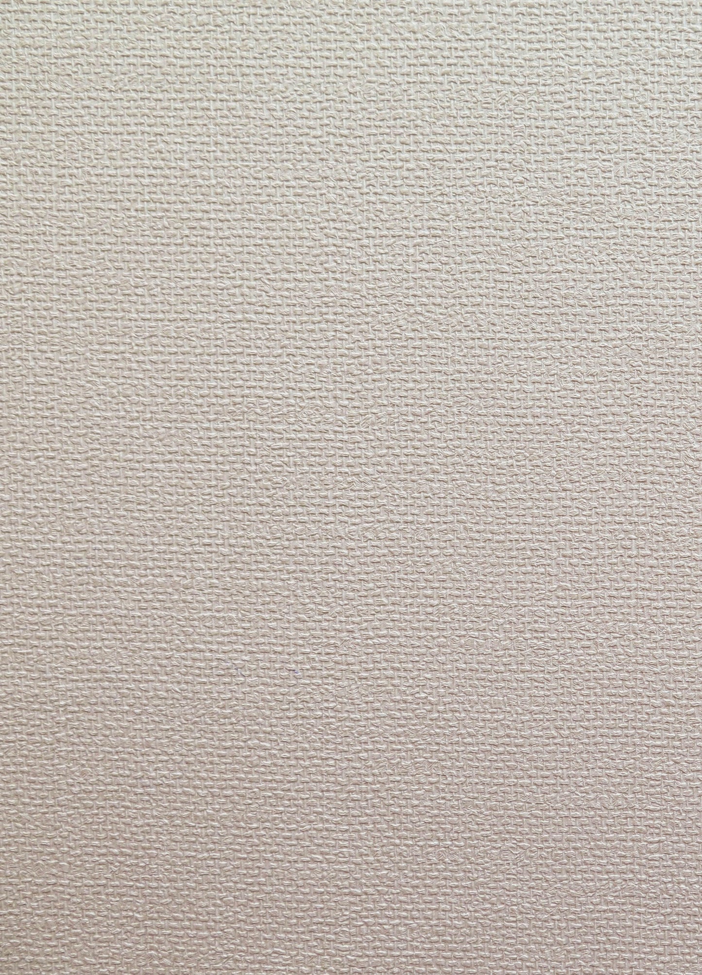 WHITES & NEUTRALS Wallpaper Pattern No 25731