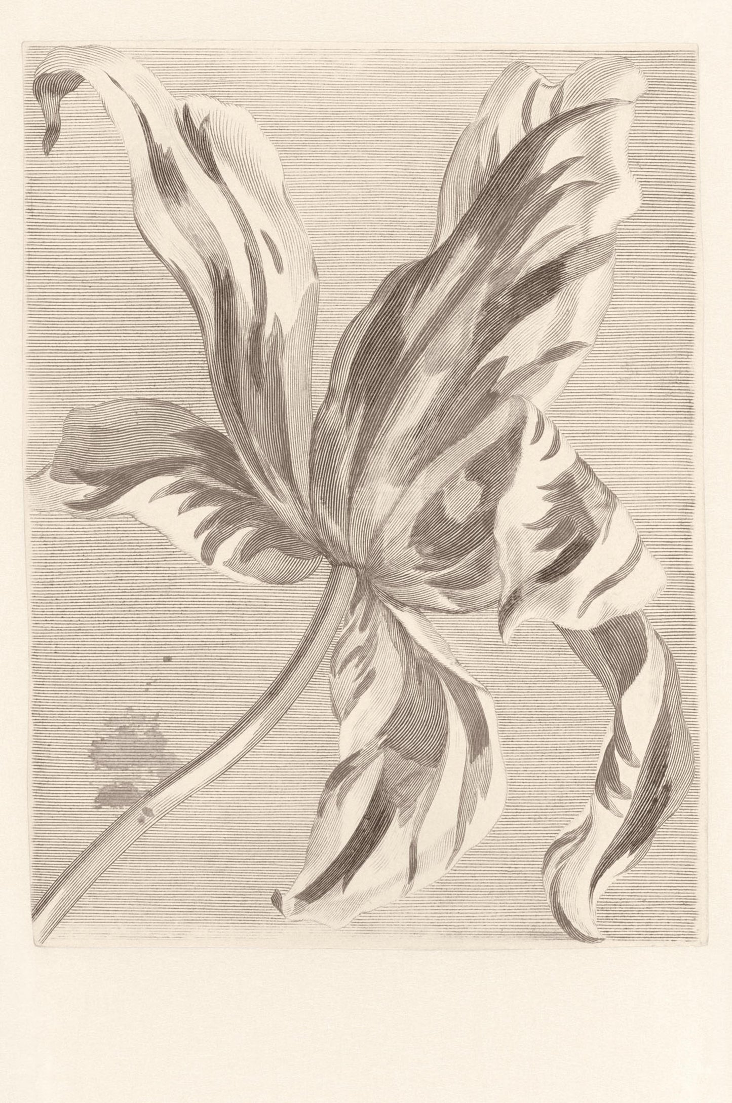 MASTERPIECE Wallpaper Pattern No E358117