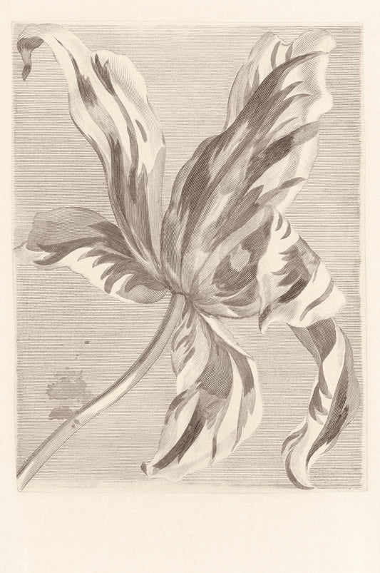 MASTERPIECE Wallpaper Pattern No E358117
