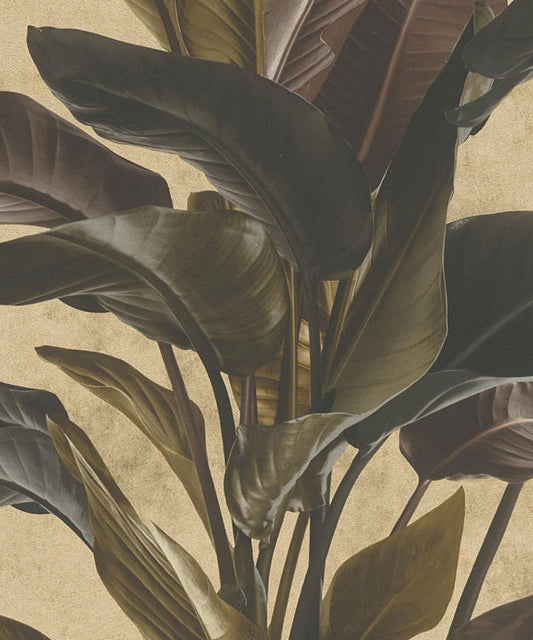 MATA HARI Wallpaper Pattern No 37862-4