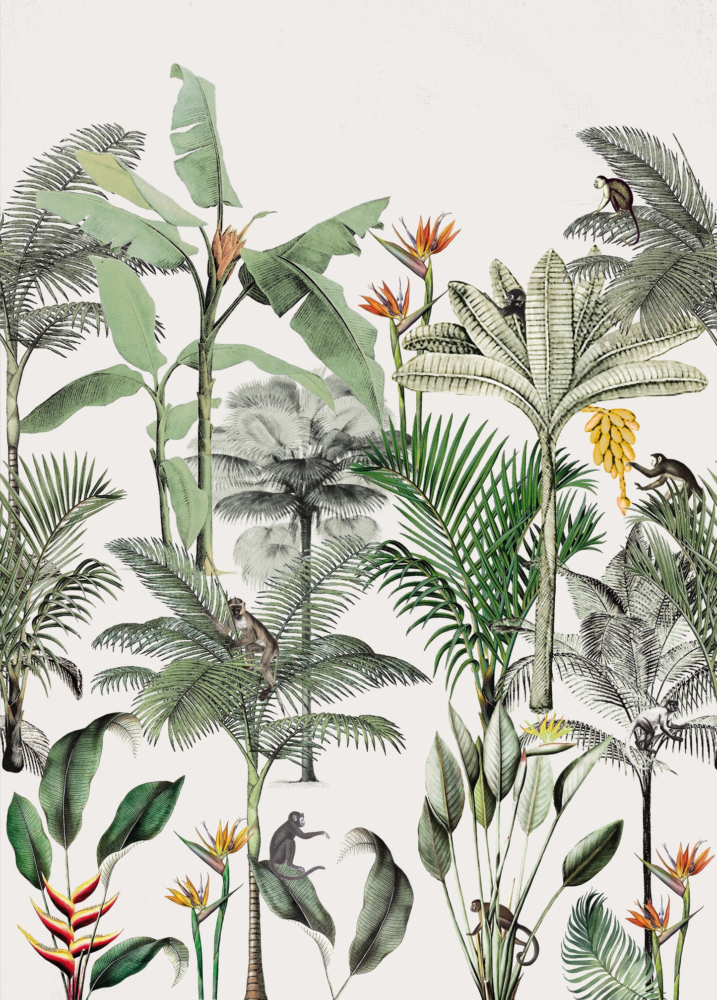 CLUB BOTANIQUE Wallpaper Pattern No 539172