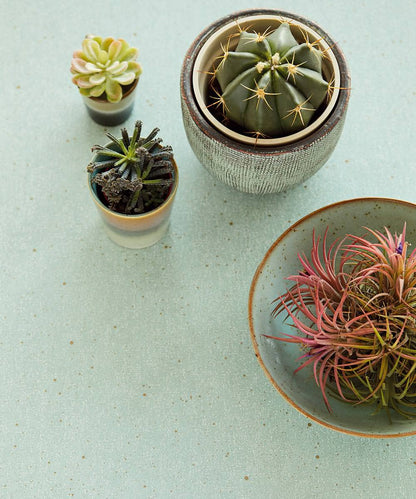 VIVID Wallpaper Pattern No E384523