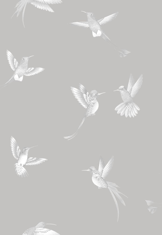 BRAND MCKENZIE Wallpaper Pattern No BMTD001/08B - Exotic Birds