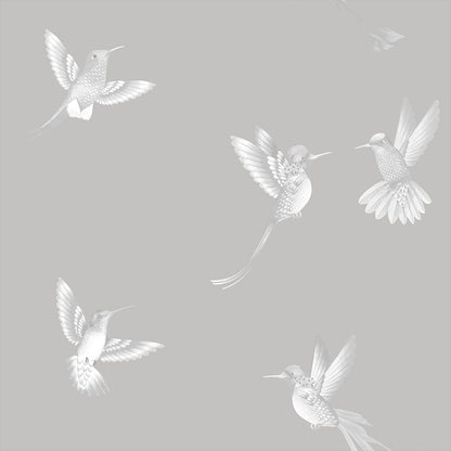 BRAND MCKENZIE Wallpaper Pattern No BMTD001/08B - Exotic Birds