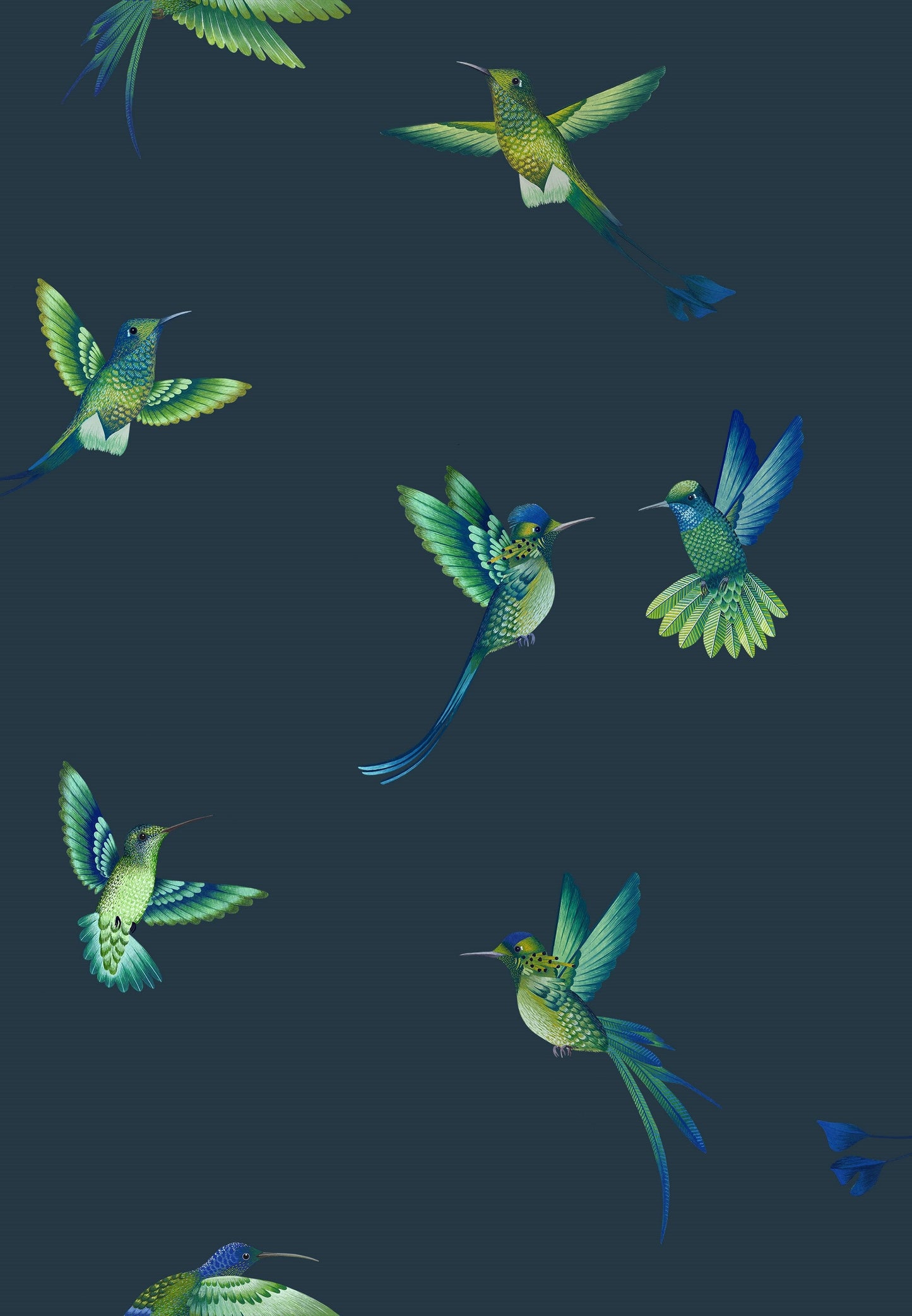 BRAND MCKENZIE Wallpaper Pattern No BMTD001/08C - Exotic Birds